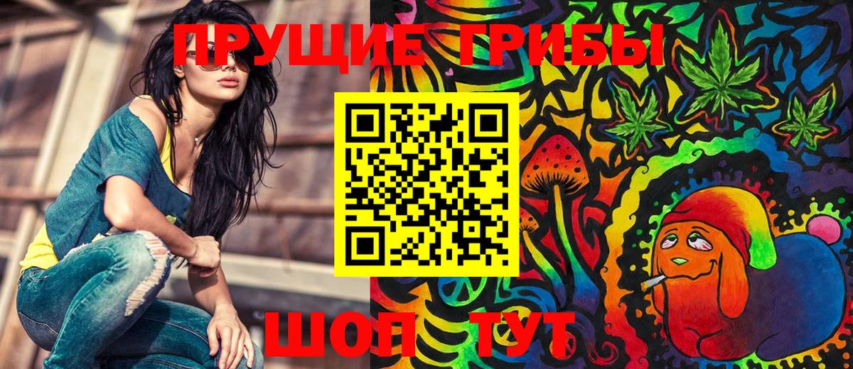 Псилоцибиновые грибы мицелий Северск